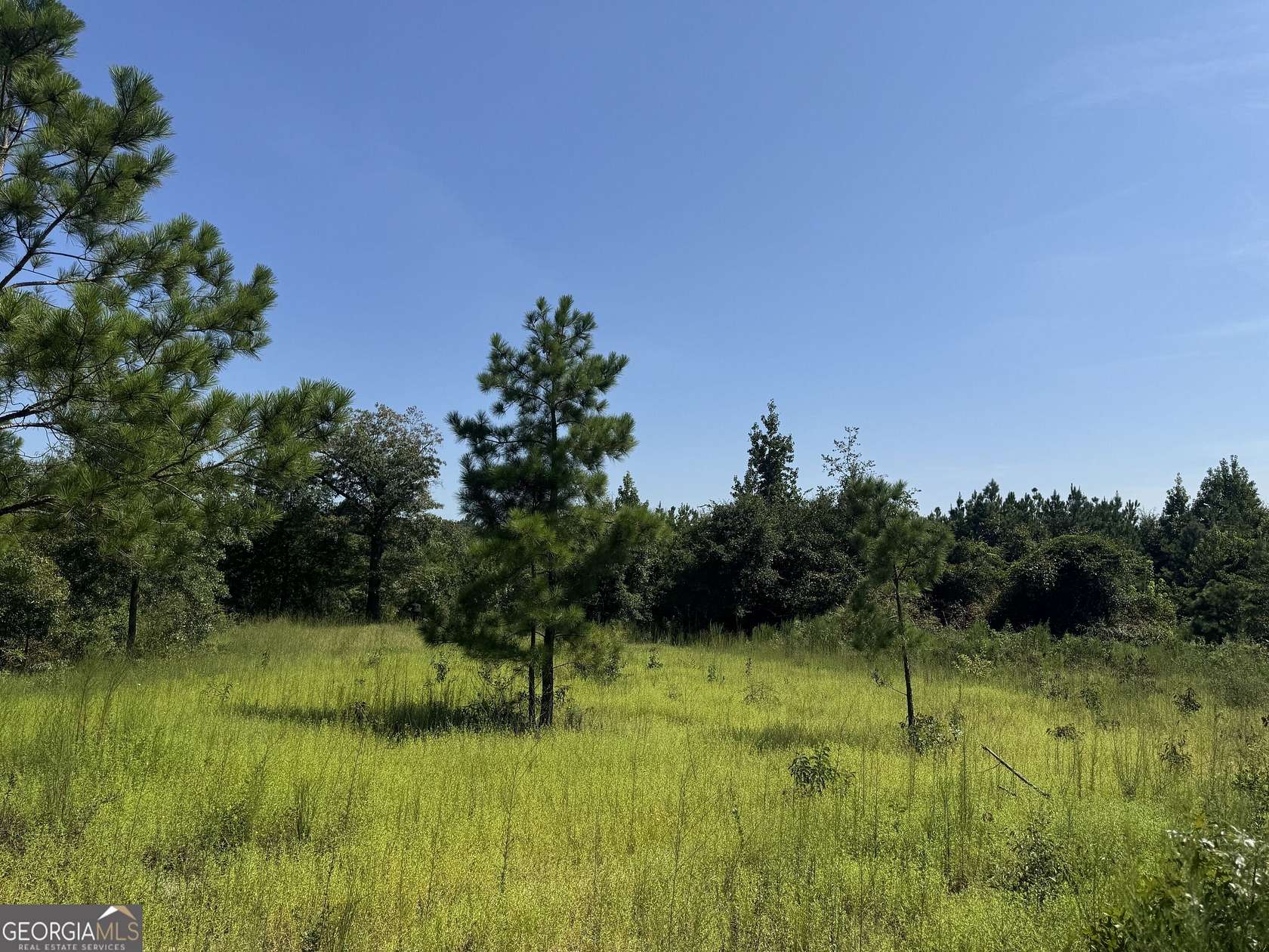 19.5 Acres of Land for Sale in Mauk, Georgia