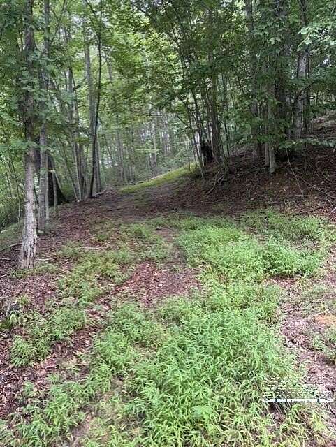 9 Acres of Land for Sale in Woolwine, Virginia