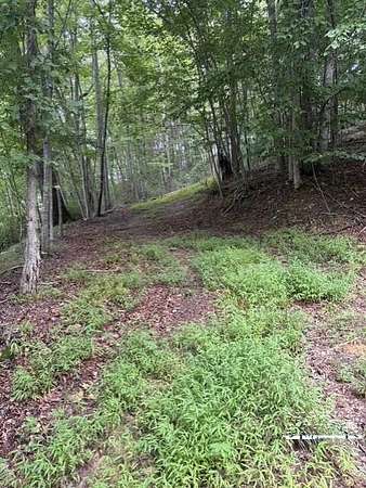 9 Acres of Land for Sale in Woolwine, Virginia