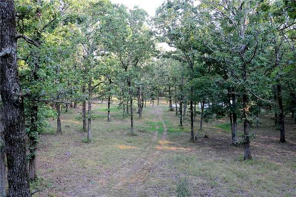 30 Acres of Recreational Land for Sale in Elkins, Arkansas