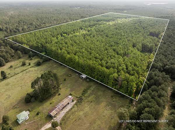 80 Acres of Recreational & Residential Land for Sale in Lumberton, Mississippi