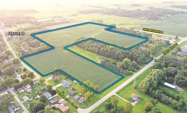 40 Acres of Land for Sale in Fertile, Iowa