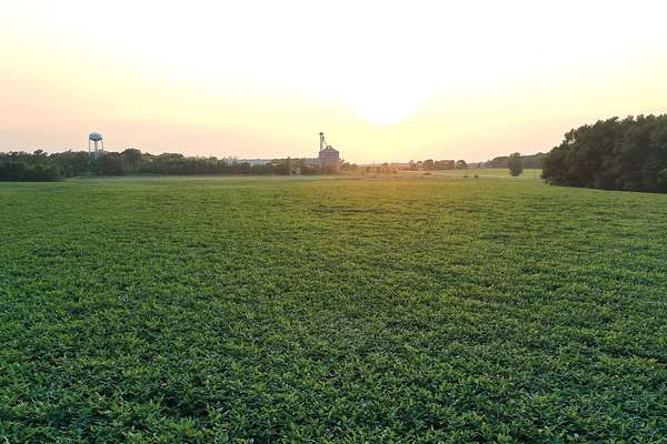 40 Acres of Land for Sale in Fertile, Iowa