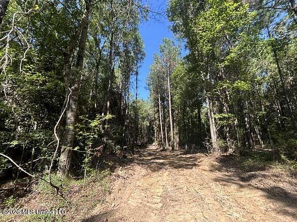 8 Acres of Residential Land for Sale in Summit, Mississippi