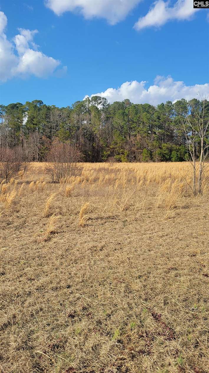 4 Acres of Commercial Land for Sale in Gaston, South Carolina