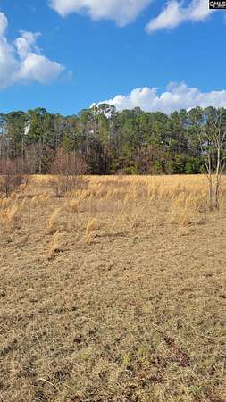 4 Acres of Commercial Land for Sale in Gaston, South Carolina