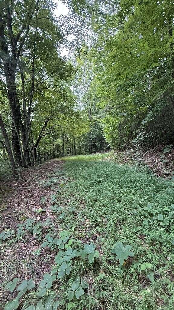 0.63 Acres of Residential Land for Sale in Bryson City, North Carolina