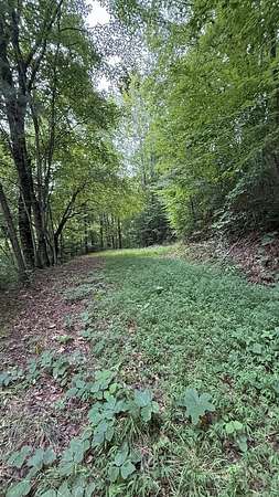 0.63 Acres of Residential Land for Sale in Bryson City, North Carolina