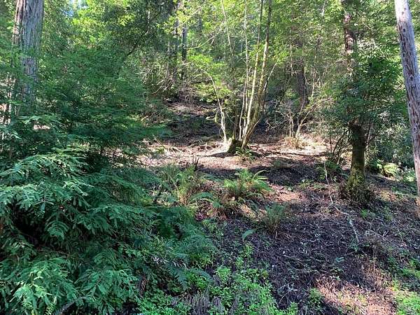 0.18 Acres of Land for Sale in Forestville, California