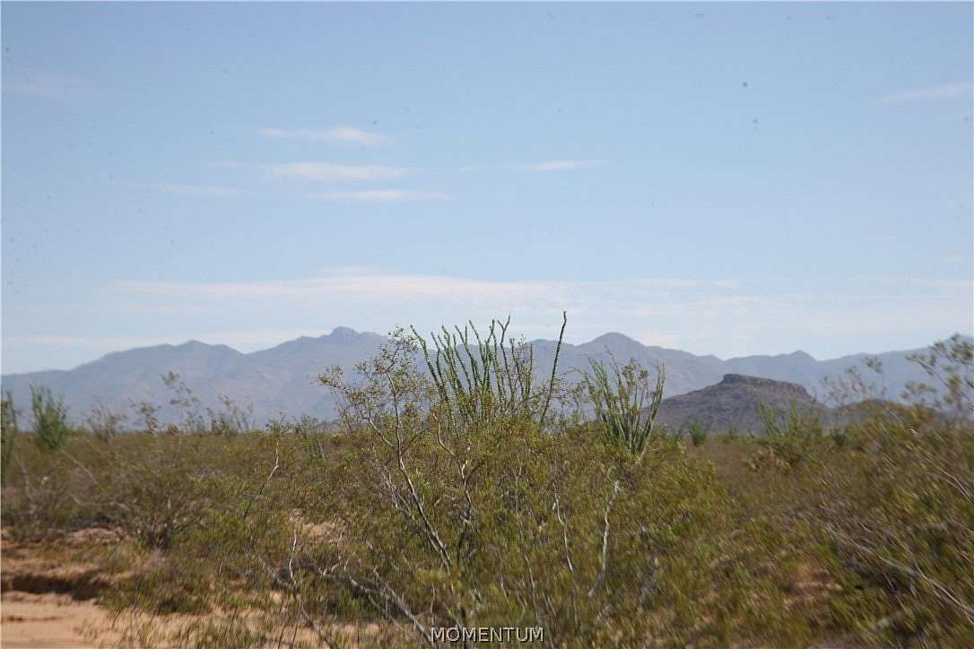 39.9 Acres of Agricultural & Residential Land for Sale in Yucca, Arizona