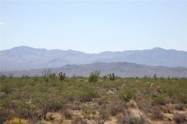 39.9 Acres of Agricultural & Residential Land for Sale in Yucca, Arizona