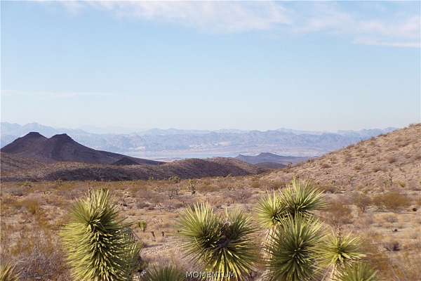 40 Acres of Land for Sale in White Hills, Arizona