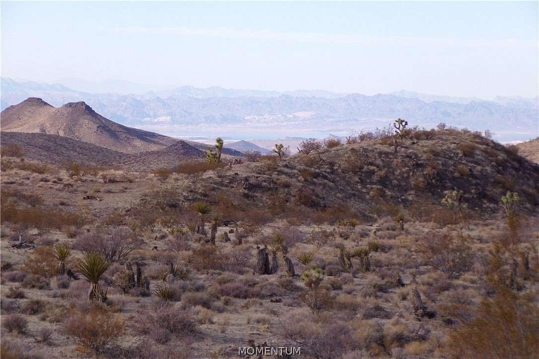 40 Acres of Land for Sale in White Hills, Arizona