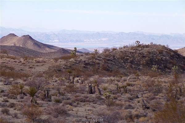 40 Acres of Land for Sale in White Hills, Arizona