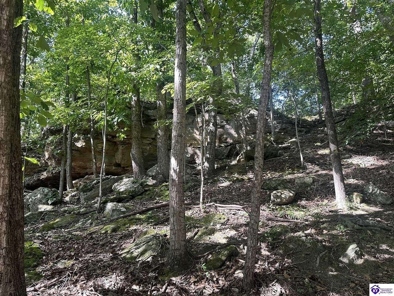 33.7 Acres of Recreational Land for Sale in Big Clifty, Kentucky