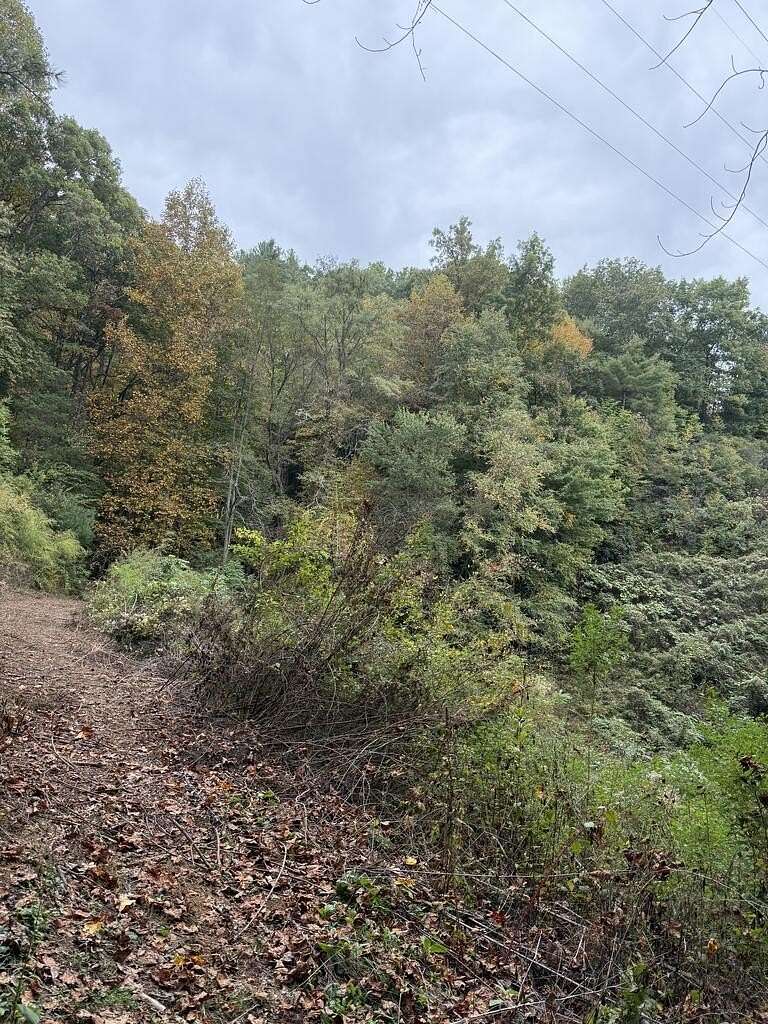 24.7 Acres of Recreational Land for Sale in Topton, North Carolina