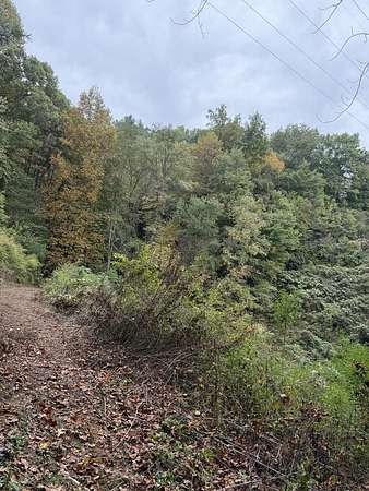 24.7 Acres of Recreational Land for Sale in Topton, North Carolina