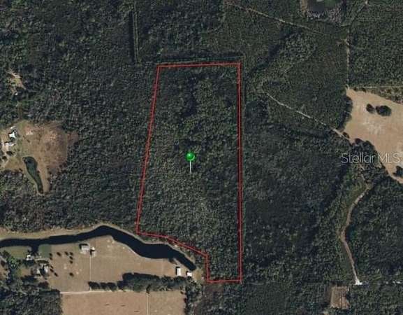 62 Acres of Land for Sale in Seville, Florida