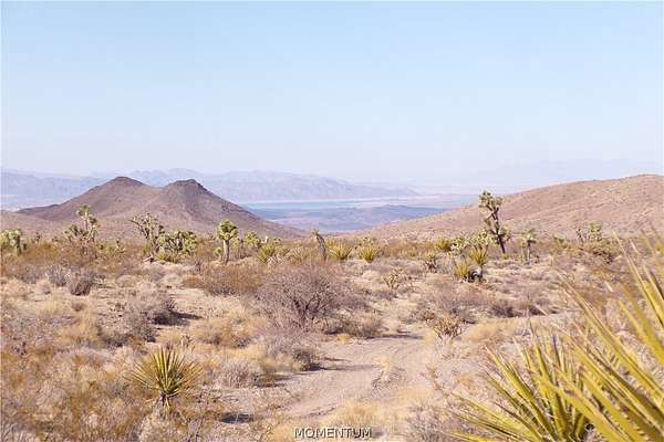 40 Acres of Land for Sale in White Hills, Arizona