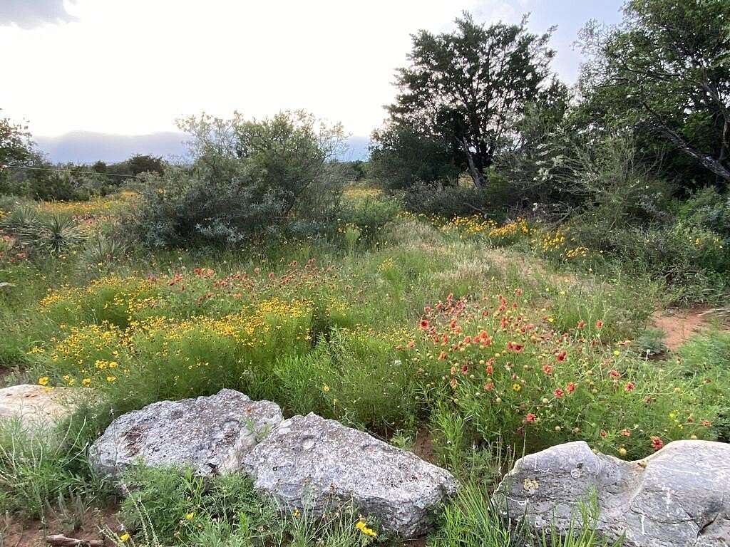 24.3 Acres of Recreational & Residential Land for Sale in Doss, Texas