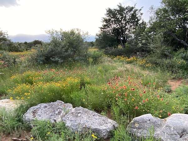 24.3 Acres of Recreational & Residential Land for Sale in Doss, Texas