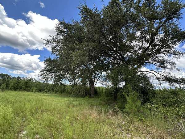 447 Acres of Recreational Land for Sale in Caryville, Florida
