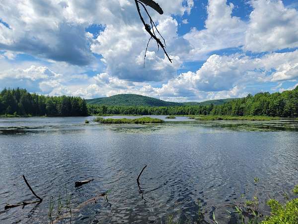 10.1 Acres of Land with Home for Sale in Jackson, Maine