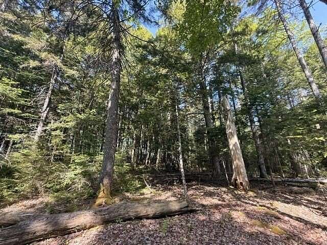 10.5 Acres of Recreational & Residential Land for Sale in Orland, Maine
