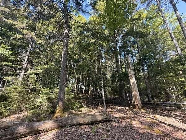 10.5 Acres of Recreational & Residential Land for Sale in Orland, Maine