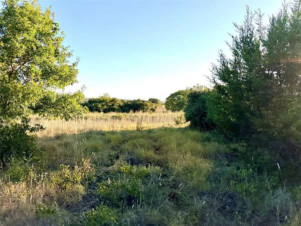 11 Acres of Land for Sale in Goldthwaite, Texas
