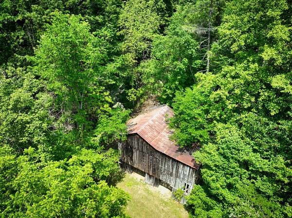 60 Acres of Recreational & Residential Land for Sale in Erwin, Tennessee