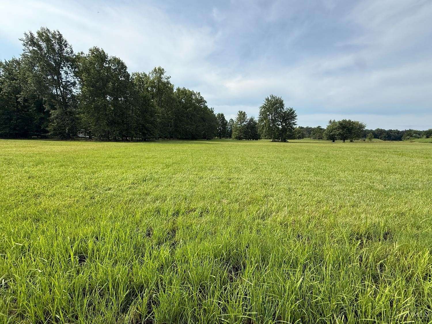 Land for Sale in Lake Waynoka, Ohio