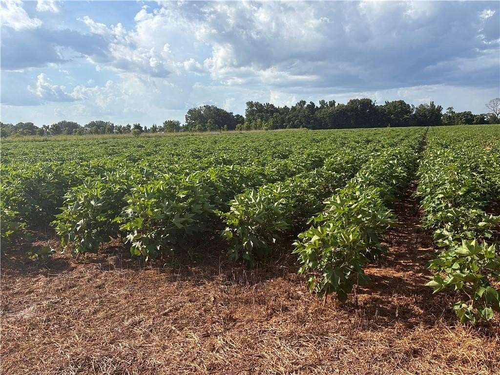 18.7 Acres of Land for Sale in Atmore, Alabama