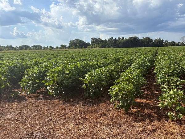 18.7 Acres of Land for Sale in Atmore, Alabama