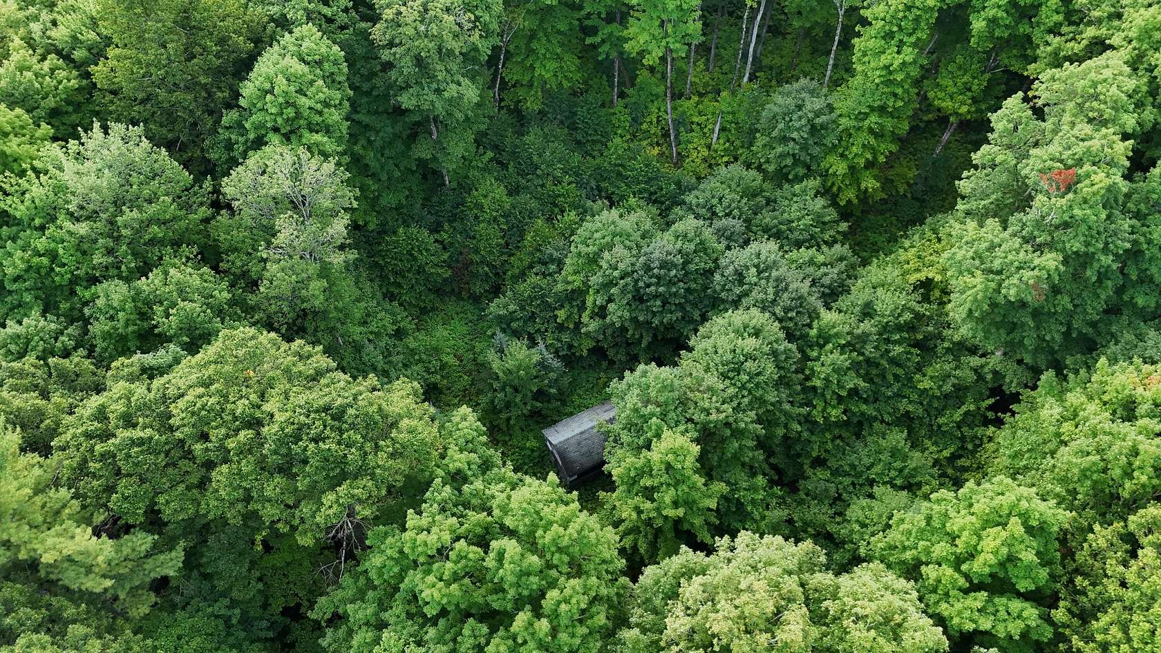40.5 Acres of Recreational Land with Home for Sale in Gwinn, Michigan