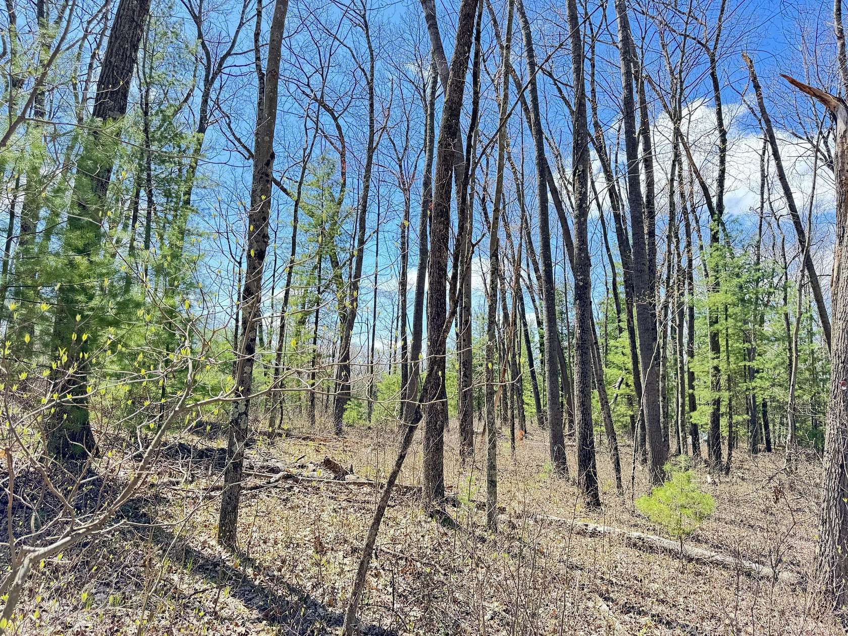 0.23 Acres of Residential Land for Sale in Bitely, Michigan