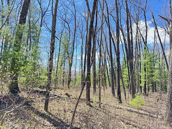 0.23 Acres of Residential Land for Sale in Bitely, Michigan
