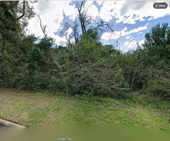 0.23 Acres of Mixed-Use Land for Sale in Marianna, Florida