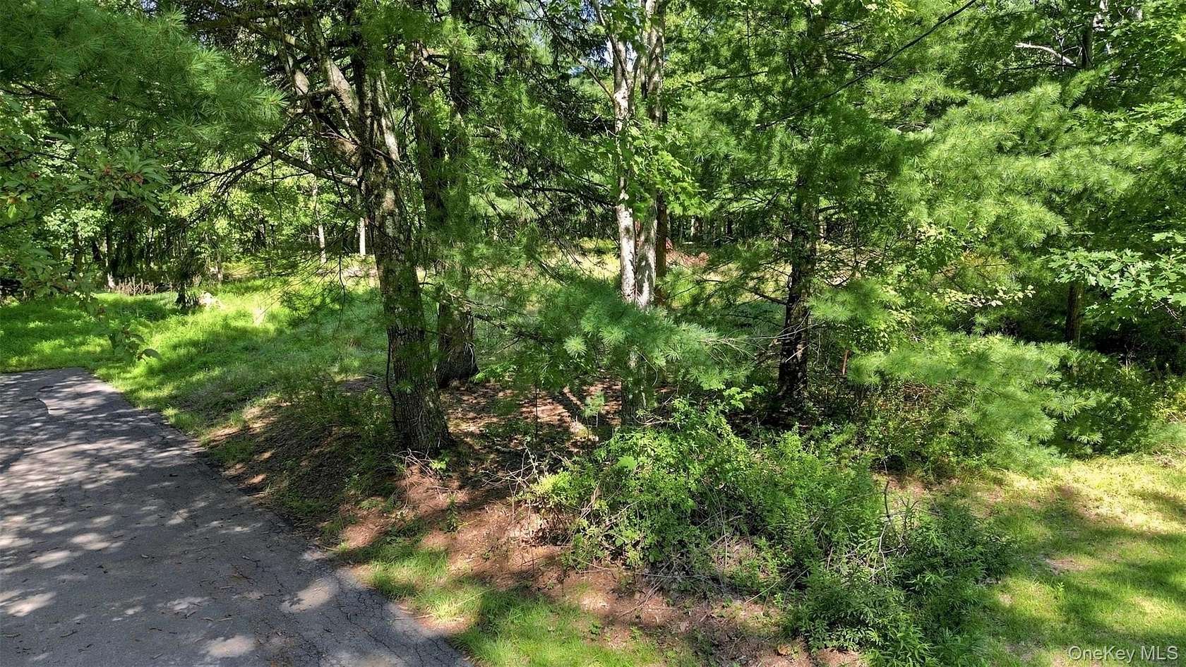 0.23 Acres of Residential Land for Sale in Wurtsboro, New York