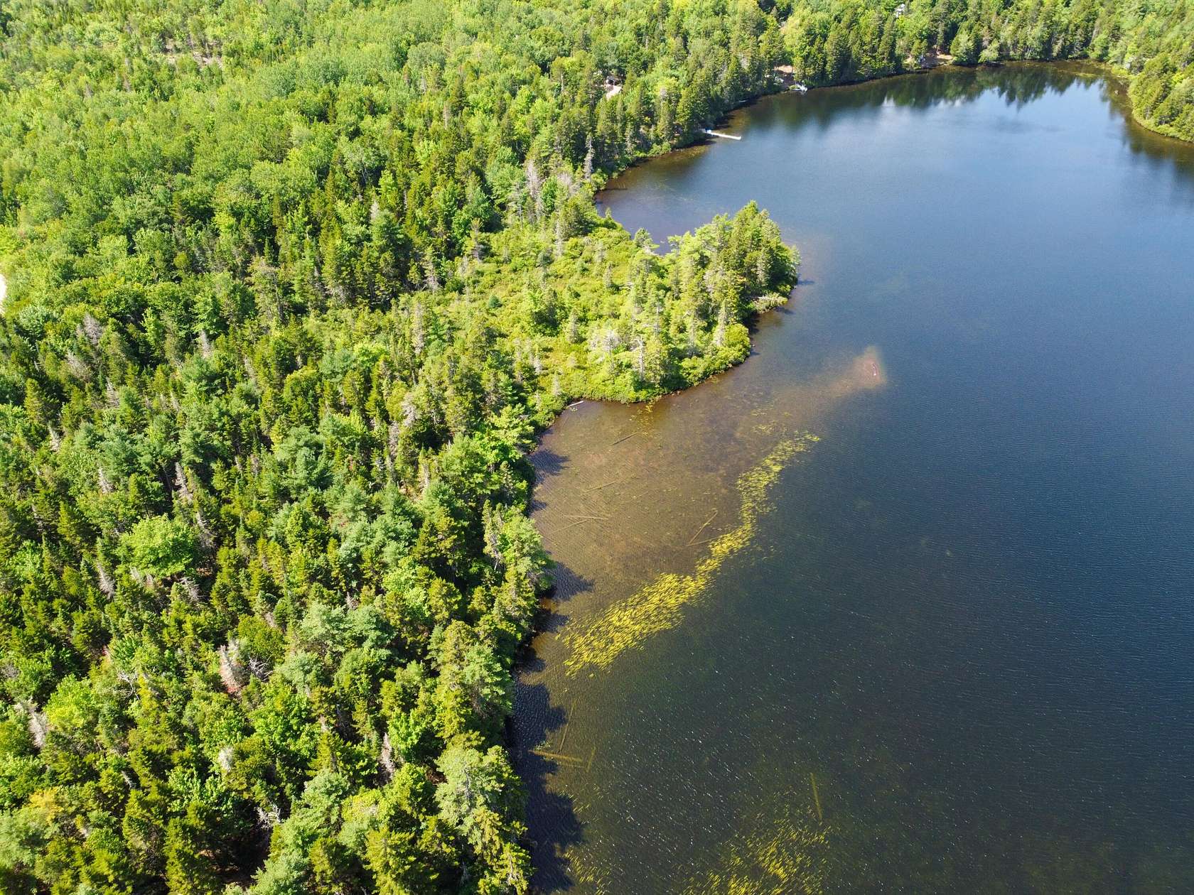 3.8 Acres of Land for Sale in Robbinston, Maine