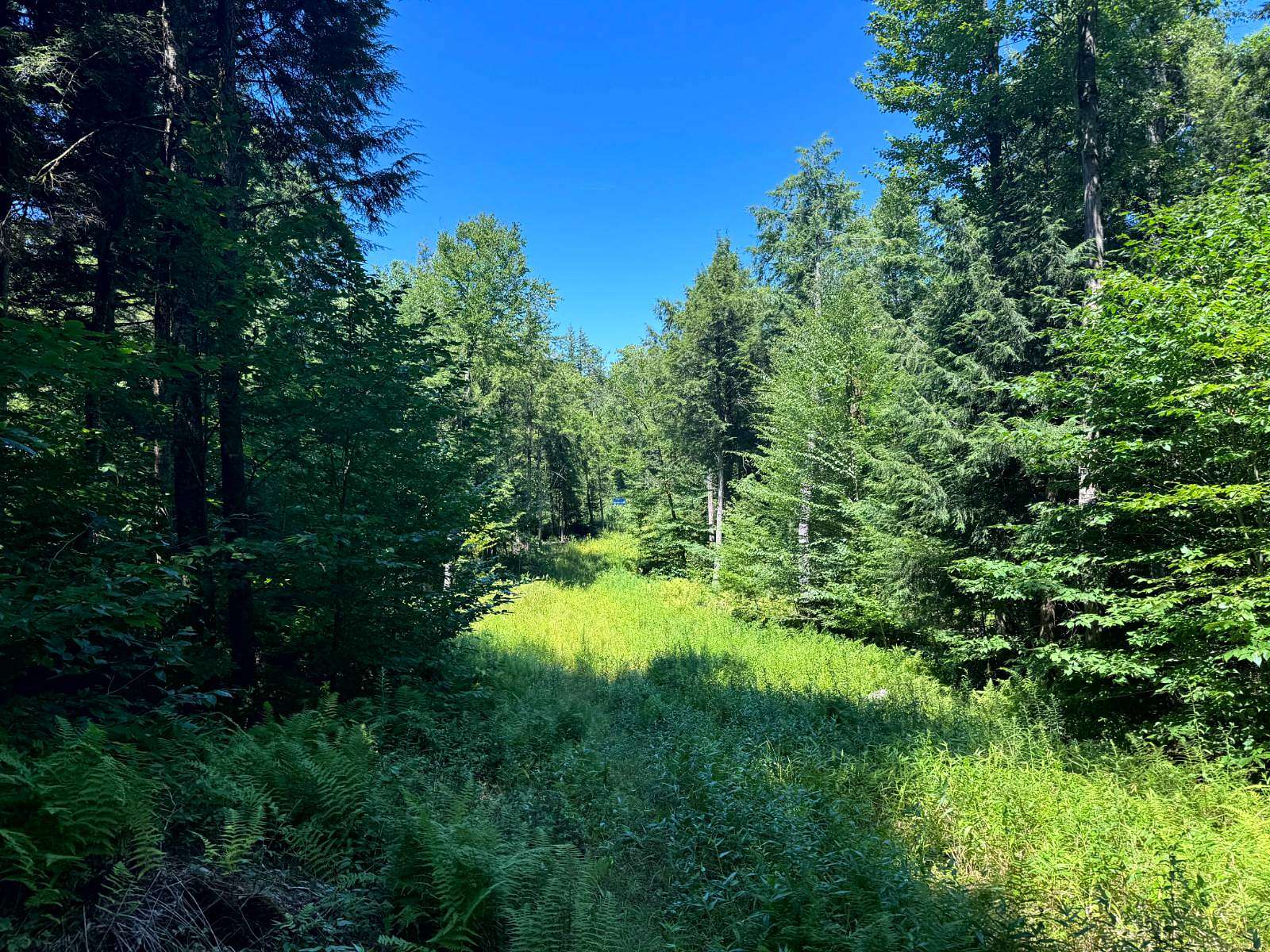 14.2 Acres of Recreational Land for Sale in Camden, New York