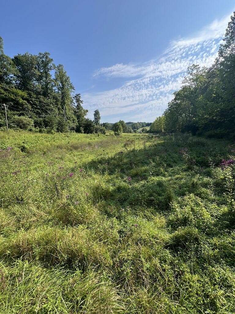 4 Acres of Residential Land for Sale in Wheelersburg, Ohio