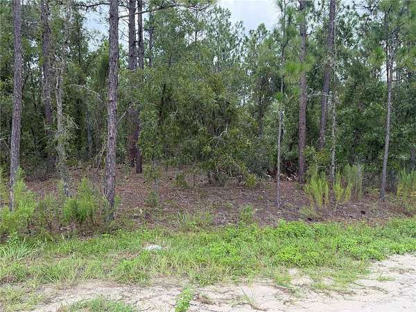 2.3 Acres of Residential Land for Sale in Ocala, Florida