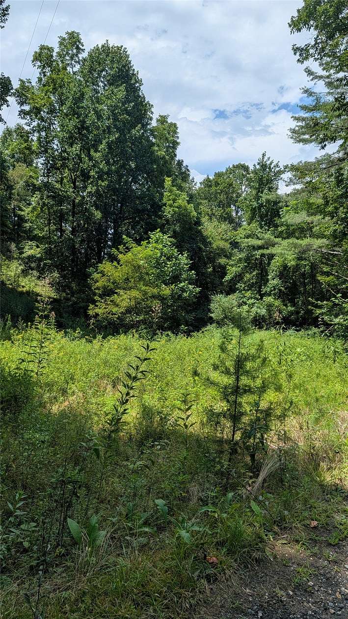 2.3 Acres of Residential Land for Sale in Sylva, North Carolina
