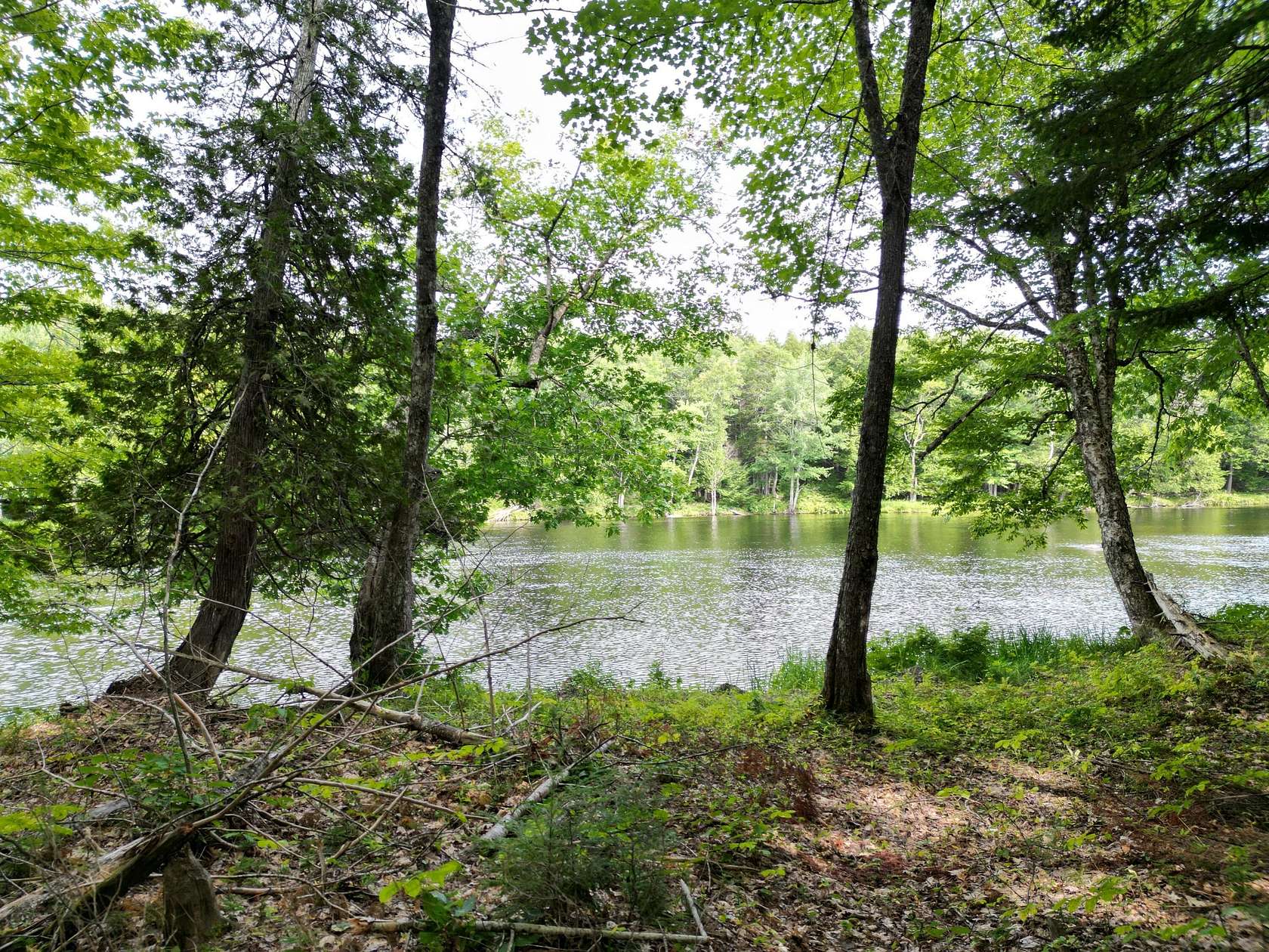 6.6 Acres of Land for Sale in Howland, Maine
