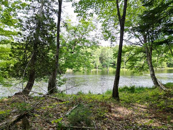 6.6 Acres of Land for Sale in Howland, Maine