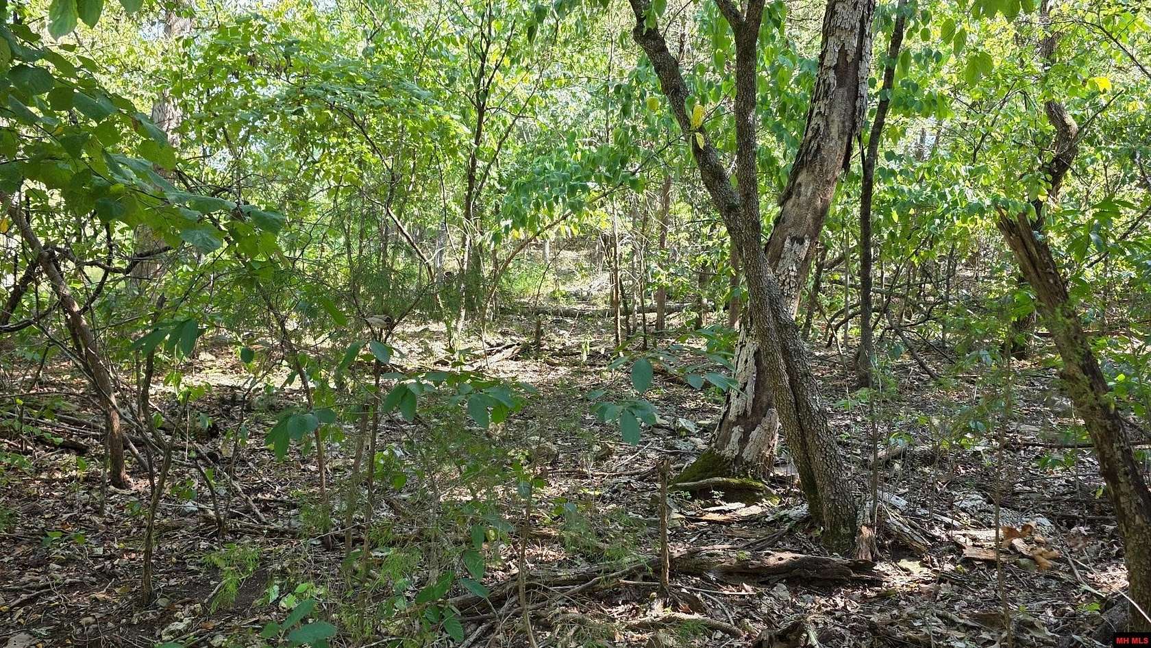 0.21 Acres of Residential Land for Sale in Diamond City, Arkansas