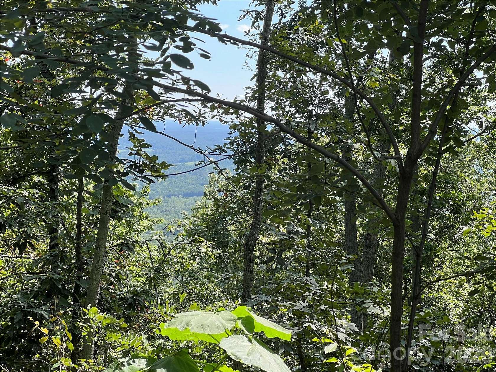 45.5 Acres of Recreational & Residential Land for Sale in Bostic, North Carolina