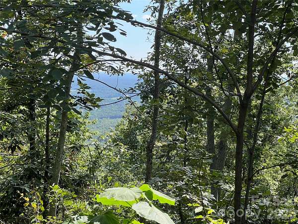 45.5 Acres of Recreational & Residential Land for Sale in Bostic, North Carolina