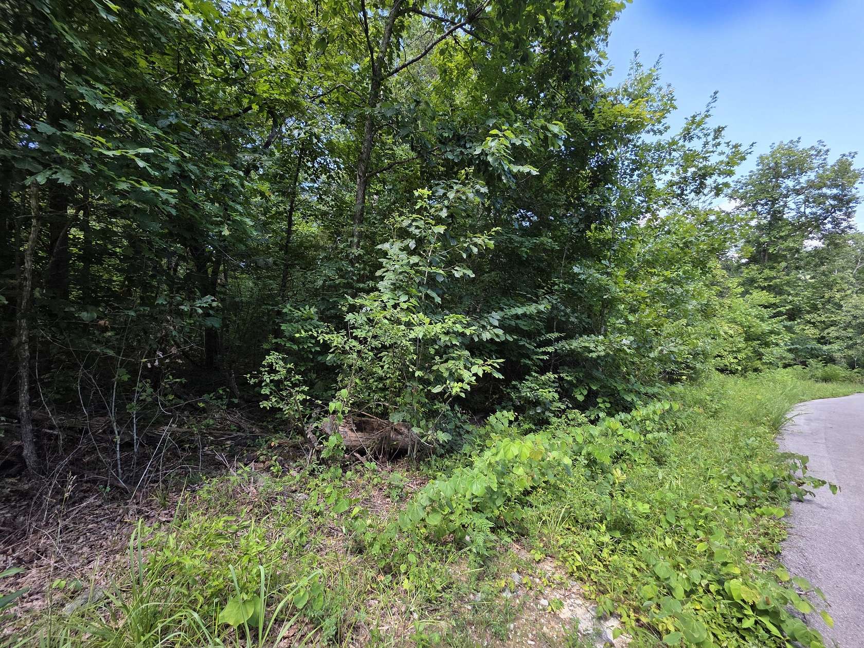 0.98 Acres of Residential Land for Sale in Burnside, Kentucky